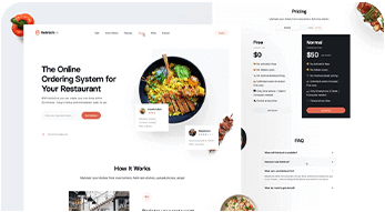 Web development