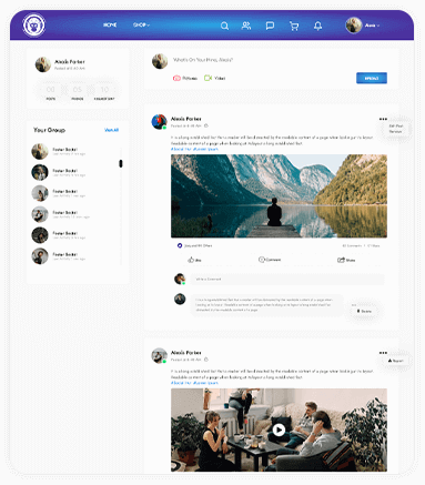 Web Image 8